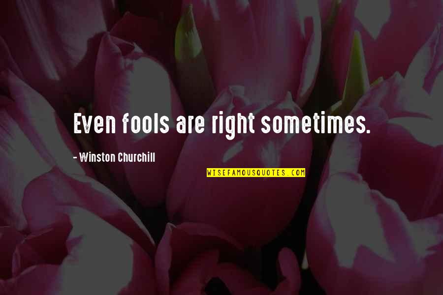 Wakadinali Quotes By Winston Churchill: Even fools are right sometimes.