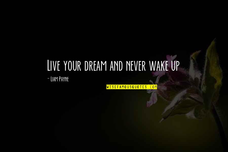 Wake Up And Dream Quotes By Liam Payne: Live your dream and never wake up