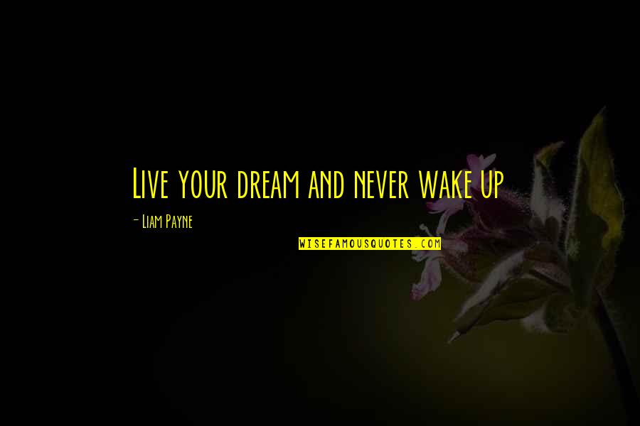 Wake Up Dream Quotes By Liam Payne: Live your dream and never wake up