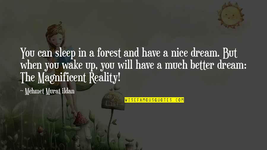 Wake Up Dream Quotes By Mehmet Murat Ildan: You can sleep in a forest and have