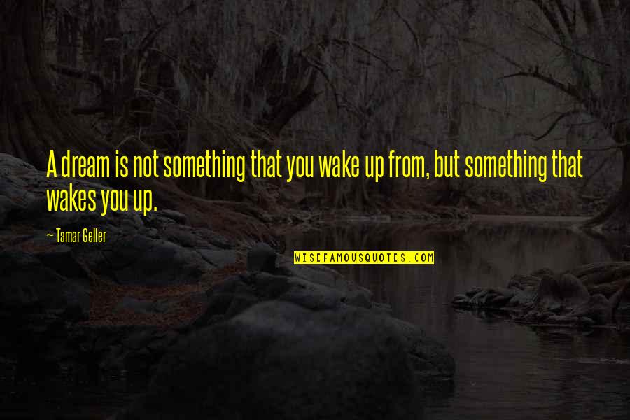 Wake Up Dream Quotes By Tamar Geller: A dream is not something that you wake