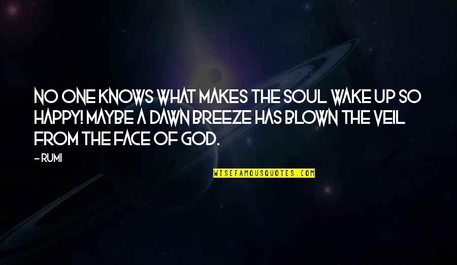 Wake Up Happy Quotes By Rumi: No one knows what makes the soul wake