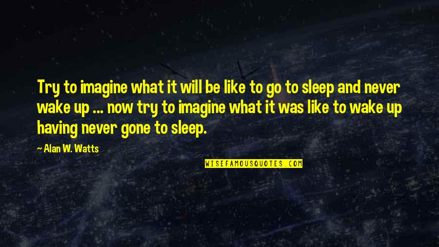 Wake Up Now Quotes By Alan W. Watts: Try to imagine what it will be like
