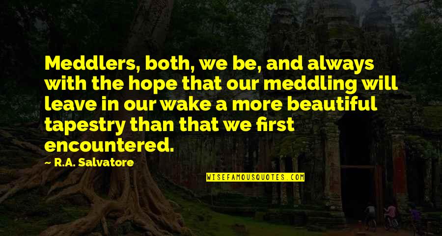 Wake Up With Hope Quotes By R.A. Salvatore: Meddlers, both, we be, and always with the