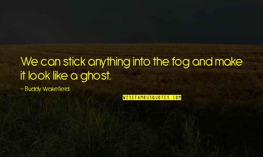 Wakefield Quotes By Buddy Wakefield: We can stick anything into the fog and Wakefield Quotes By Buddy Wakefield: We can stick anything into the fog and