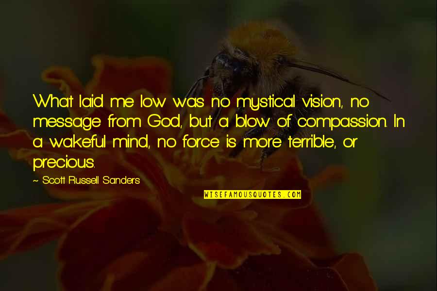 Wakeful Quotes By Scott Russell Sanders: What laid me low was no mystical vision,