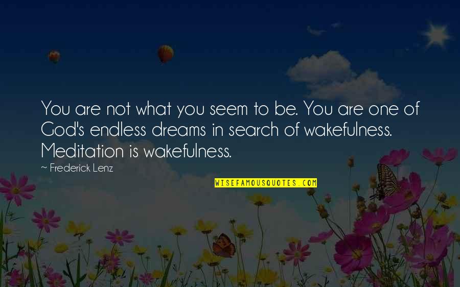 Wakefulness Quotes By Frederick Lenz: You are not what you seem to be. Wakefulness Quotes By Frederick Lenz: You are not what you seem to be.