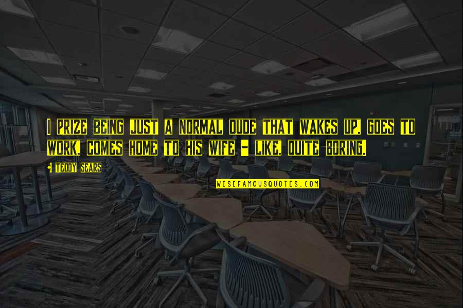 Wakes Quotes By Teddy Sears: I prize being just a normal dude that