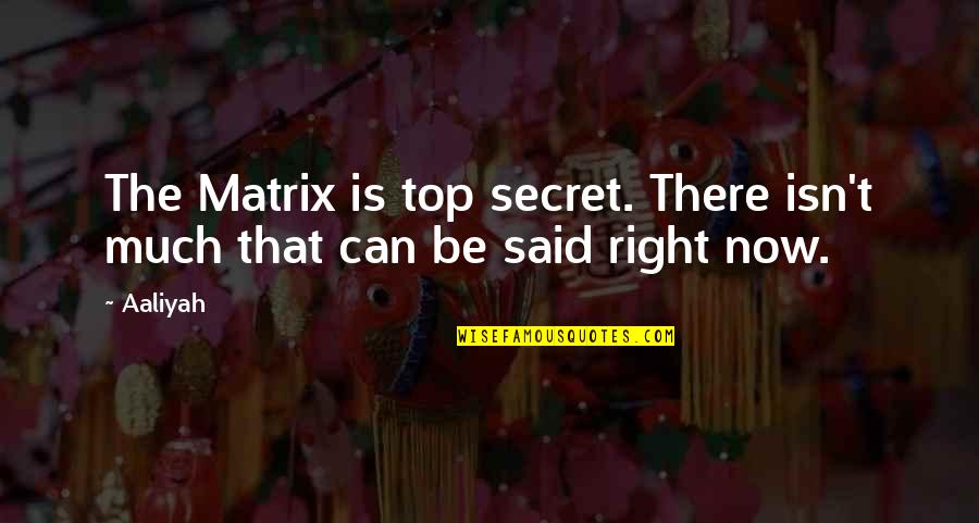 Wakey Wakey Rise And Shine Quotes By Aaliyah: The Matrix is top secret. There isn't much