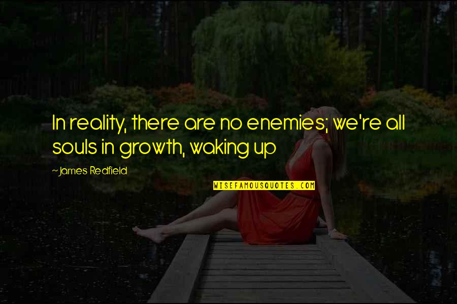 Waking Up Quotes By James Redfield: In reality, there are no enemies; we're all
