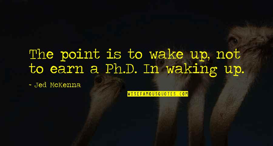 Waking Up Quotes By Jed McKenna: The point is to wake up, not to