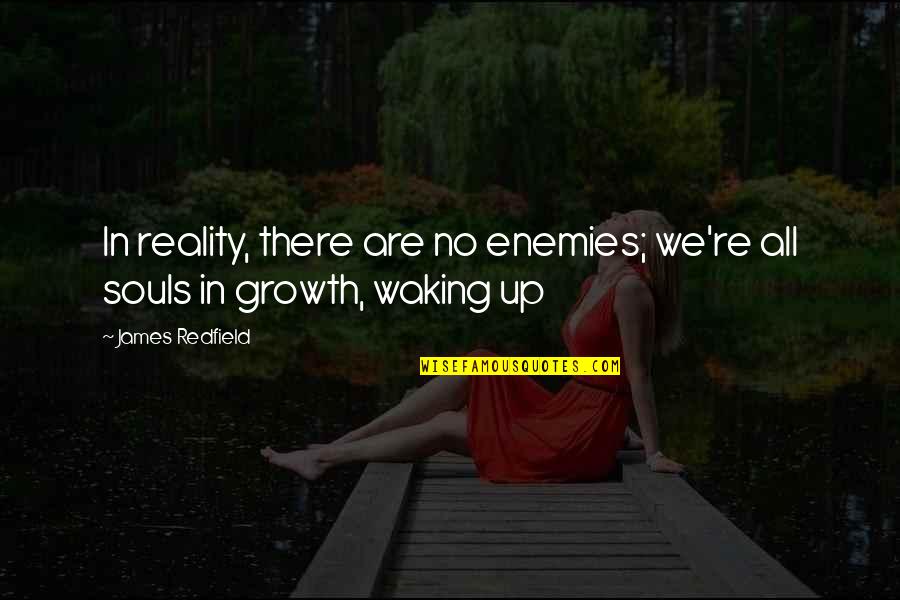 Waking Up Without You Quotes By James Redfield: In reality, there are no enemies; we're all