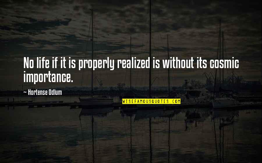 Wakinyan Stone Quotes By Hortense Odlum: No life if it is properly realized is Wakinyan Stone Quotes By Hortense Odlum: No life if it is properly realized is
