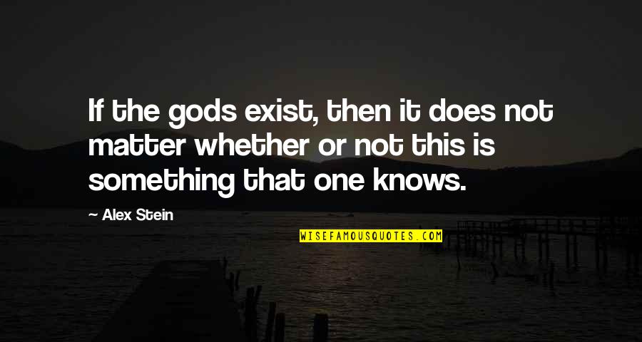 Wakko Yakko Dot Quotes By Alex Stein: If the gods exist, then it does not Wakko Yakko Dot Quotes By Alex Stein: If the gods exist, then it does not