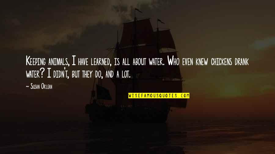 Wala Ng Pag Asa Quotes By Susan Orlean: Keeping animals, I have learned, is all about Wala Ng Pag Asa Quotes By Susan Orlean: Keeping animals, I have learned, is all about
