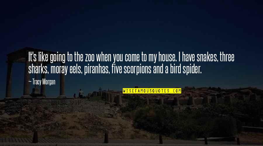 Walang Respeto Quotes By Tracy Morgan: It's like going to the zoo when you Walang Respeto Quotes By Tracy Morgan: It's like going to the zoo when you