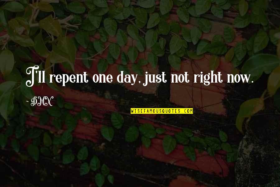 Walcum Quotes By DMX: I'll repent one day, just not right now.