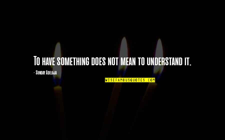 Waldocks Quotes By Sunday Adelaja: To have something does not mean to understand