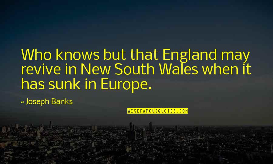 Wales Quotes By Joseph Banks: Who knows but that England may revive in