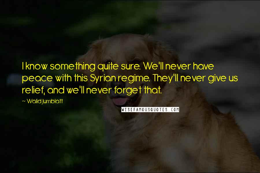 Walid Jumblatt quotes: I know something quite sure. We'll never have peace with this Syrian regime. They'll never give us relief, and we'll never forget that.