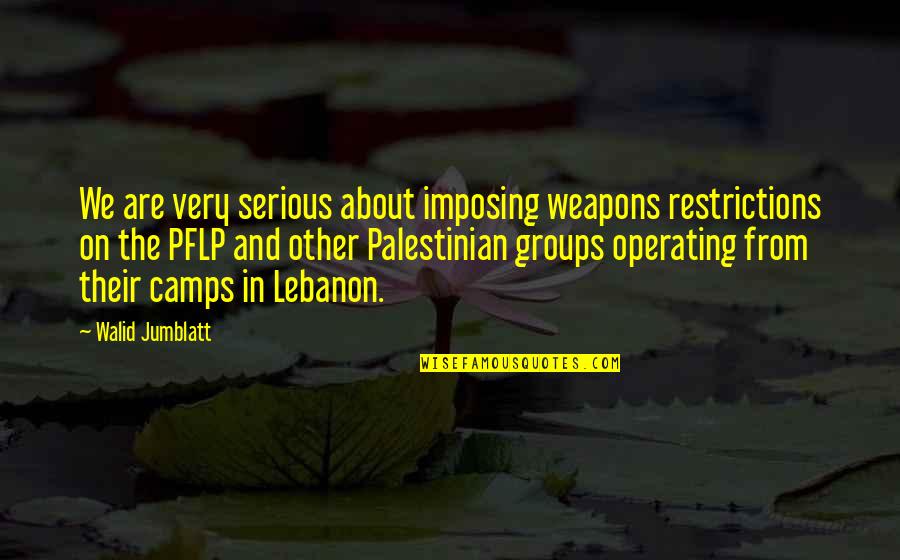 Walid Jumblatt Quotes By Walid Jumblatt: We are very serious about imposing weapons restrictions