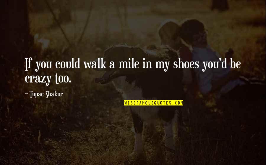 Walk A Mile In Your Shoes Quotes By Tupac Shakur: If you could walk a mile in my