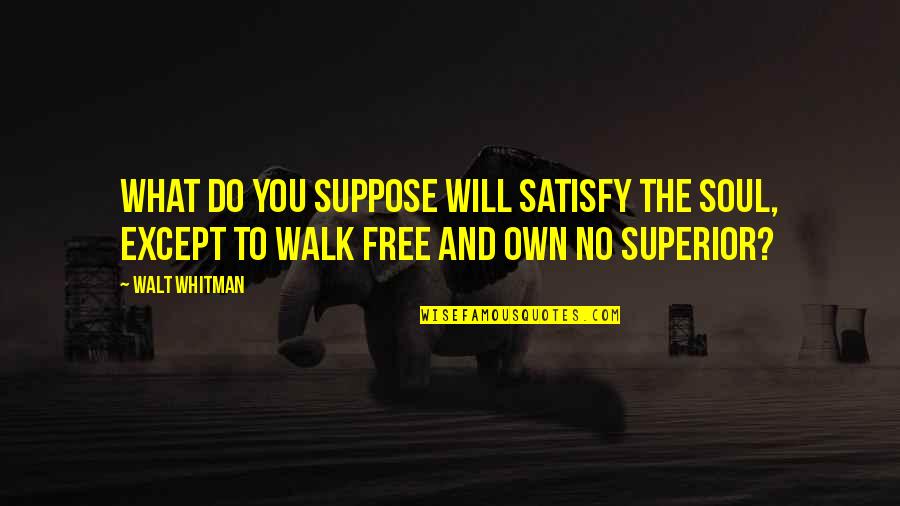 Walk Free Quotes By Walt Whitman: What do you suppose will satisfy the soul,