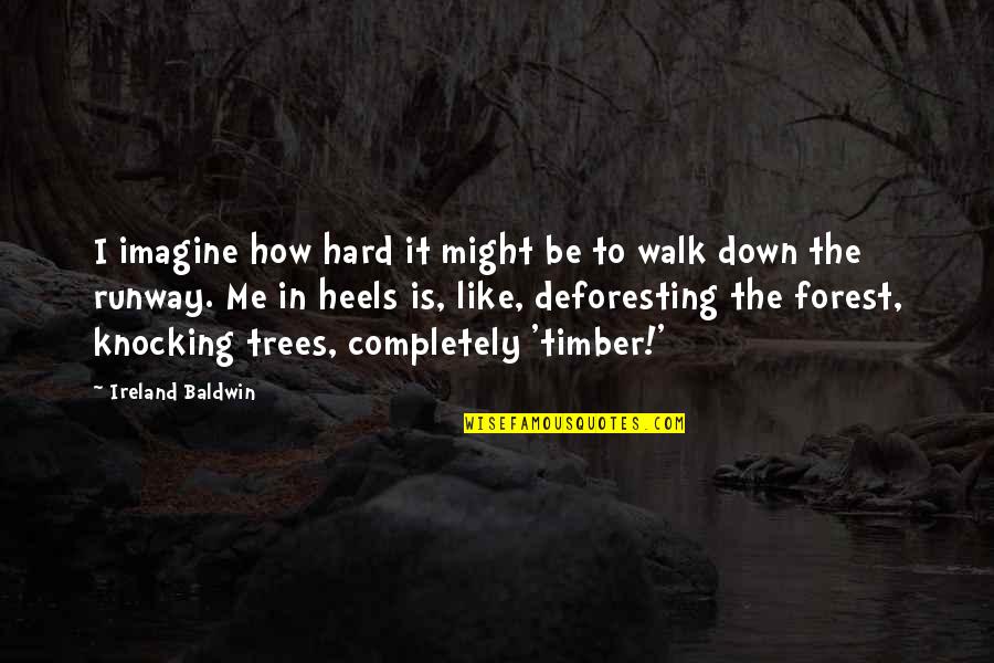 Walk In Forest Quotes By Ireland Baldwin: I imagine how hard it might be to