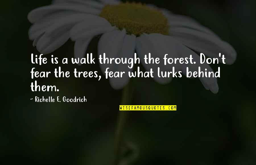 Walk In Forest Quotes By Richelle E. Goodrich: Life is a walk through the forest. Don't Walk In Forest Quotes By Richelle E. Goodrich: Life is a walk through the forest. Don't