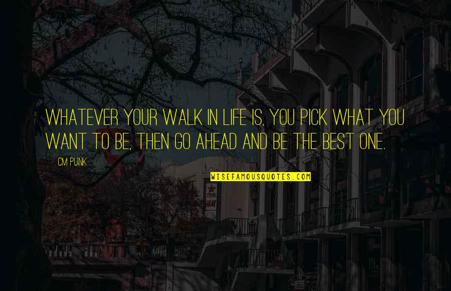 Walk In Life Quotes By CM Punk: Whatever your walk in life is, you pick Walk In Life Quotes By CM Punk: Whatever your walk in life is, you pick