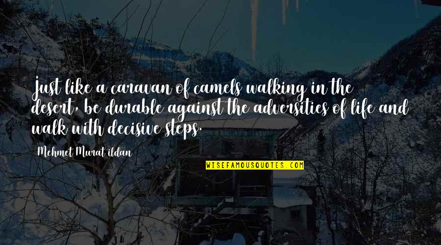 Walk In Life Quotes By Mehmet Murat Ildan: Just like a caravan of camels walking in