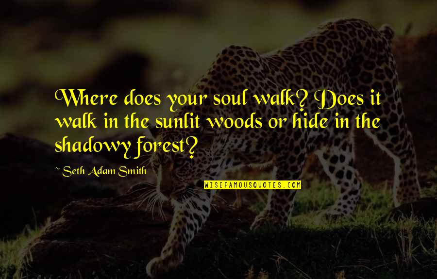 Walk In Life Quotes By Seth Adam Smith: Where does your soul walk? Does it walk Walk In Life Quotes By Seth Adam Smith: Where does your soul walk? Does it walk