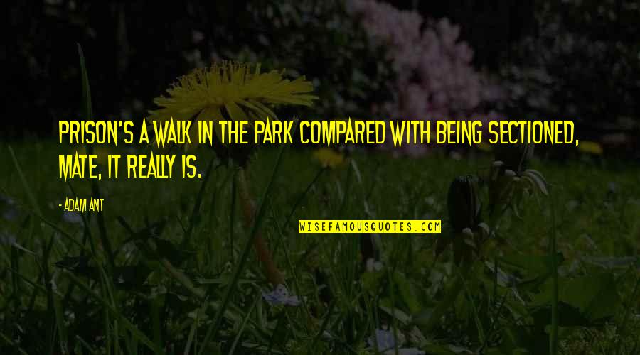 Walk In The Park Quotes By Adam Ant: Prison's a walk in the park compared with