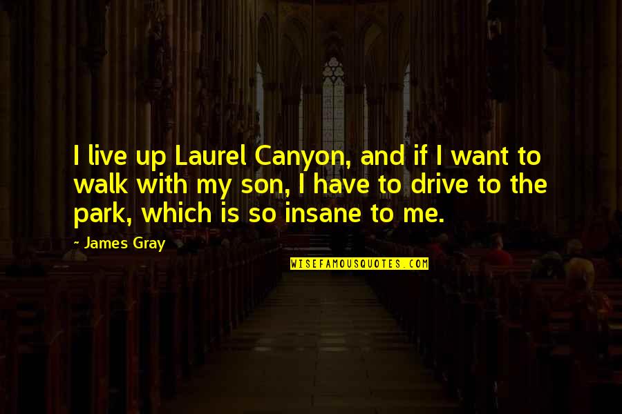 Walk In The Park Quotes By James Gray: I live up Laurel Canyon, and if I