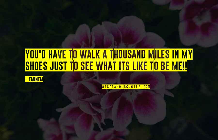 Walk My Shoes Quotes By Eminem: You'd have to walk a thousand miles in