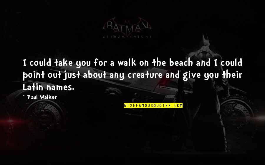 Walk On The Beach Quotes By Paul Walker: I could take you for a walk on