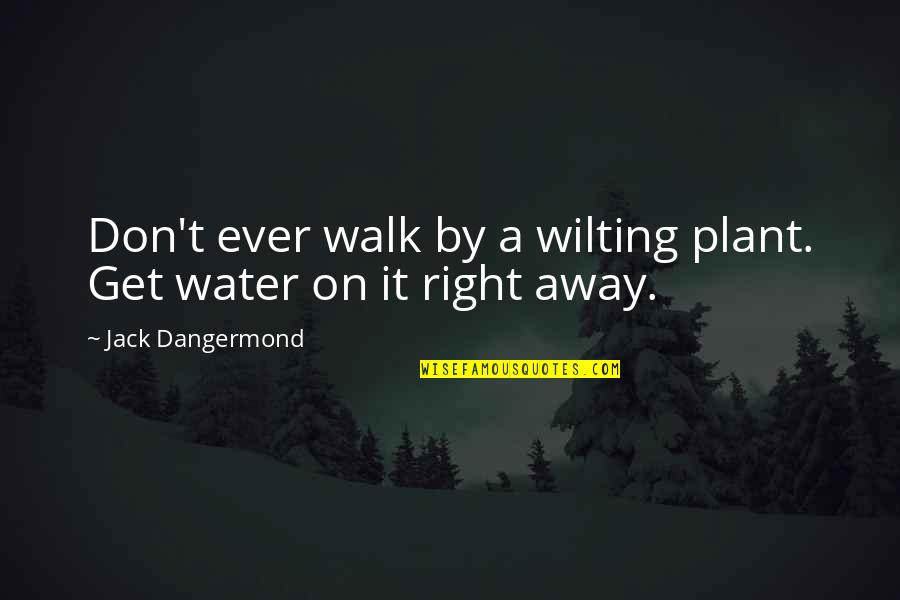 Walk On Water Quotes By Jack Dangermond: Don't ever walk by a wilting plant. Get