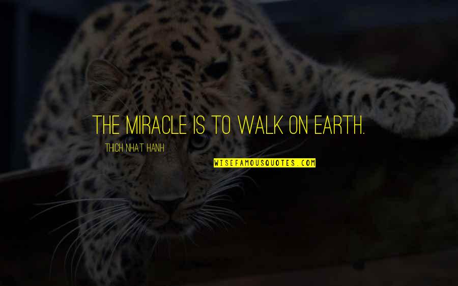Walk The Earth Quotes By Thich Nhat Hanh: The miracle is to walk on Earth. Walk The Earth Quotes By Thich Nhat Hanh: The miracle is to walk on Earth.