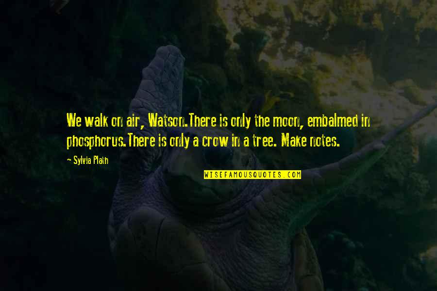 Walk The Moon Quotes By Sylvia Plath: We walk on air, Watson.There is only the Walk The Moon Quotes By Sylvia Plath: We walk on air, Watson.There is only the