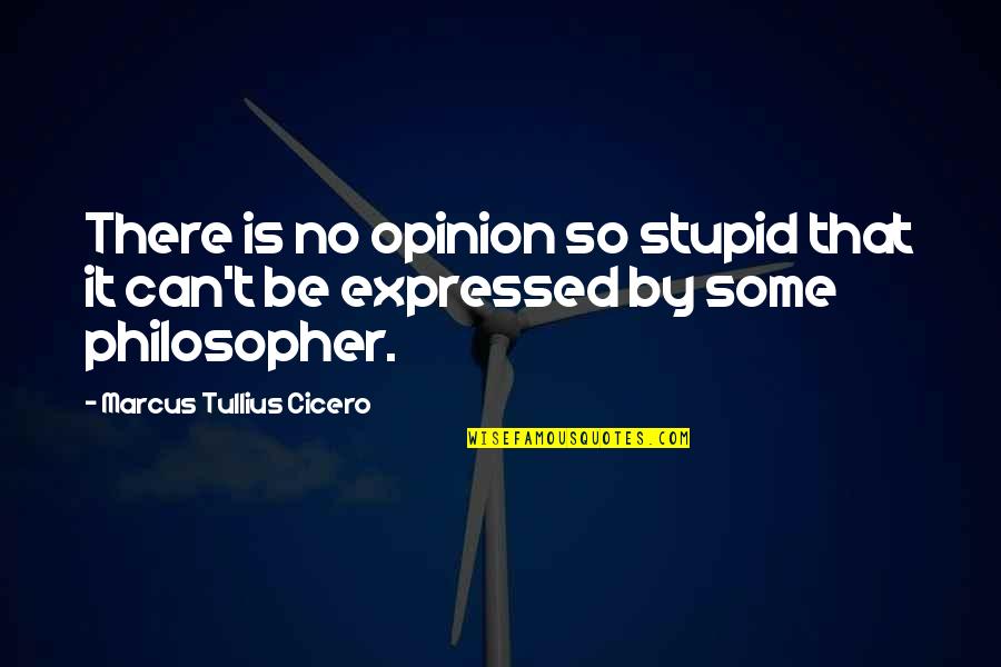 Walk Under The Rain Quotes By Marcus Tullius Cicero: There is no opinion so stupid that it