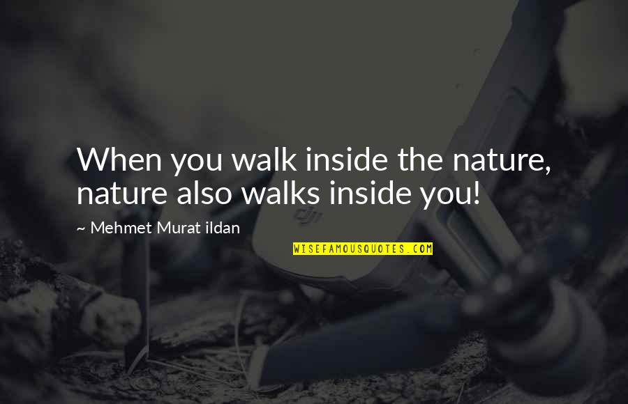 Walk With Nature Quotes By Mehmet Murat Ildan: When you walk inside the nature, nature also