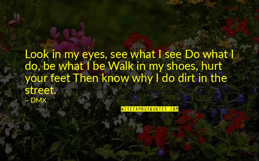 Walk Your Shoes Quotes By DMX: Look in my eyes, see what I see