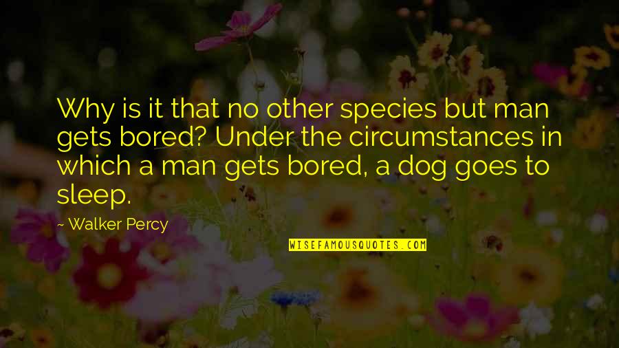 Walker Percy Quotes By Walker Percy: Why is it that no other species but