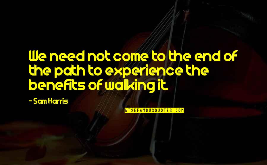 Walking A Path Quotes By Sam Harris: We need not come to the end of