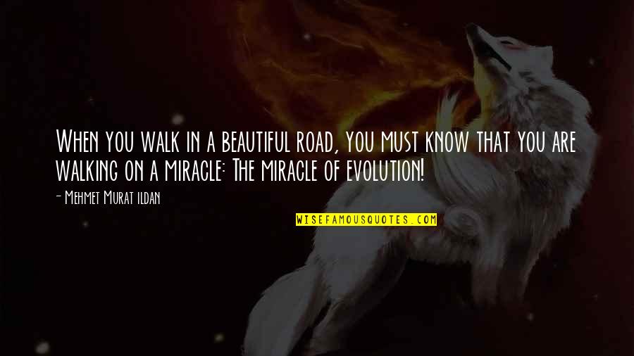 Walking A Road Quotes By Mehmet Murat Ildan: When you walk in a beautiful road, you