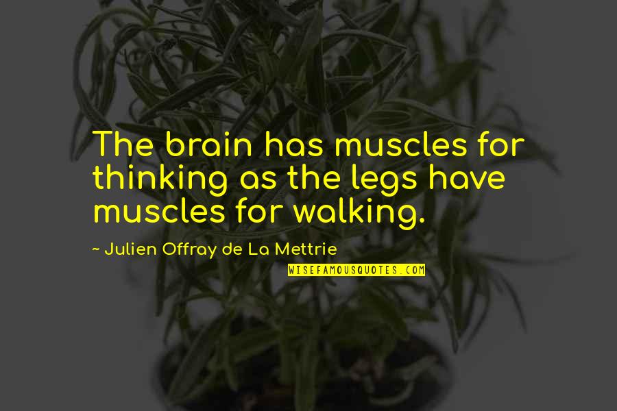 Walking And Thinking Quotes By Julien Offray De La Mettrie: The brain has muscles for thinking as the