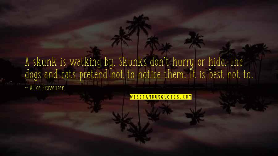 Walking Dogs Quotes By Alice Provensen: A skunk is walking by. Skunks don't hurry