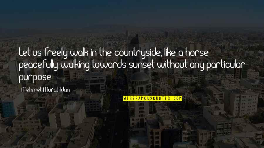 Walking Freely Quotes By Mehmet Murat Ildan: Let us freely walk in the countryside, like