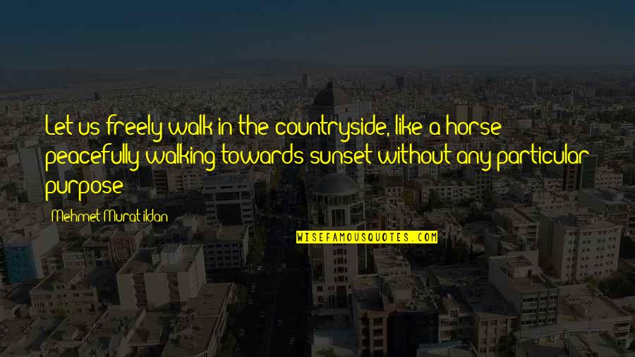 Walking In The Countryside Quotes By Mehmet Murat Ildan: Let us freely walk in the countryside, like