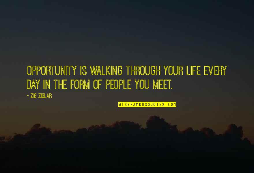 Walking Into My Life Quotes By Zig Ziglar: Opportunity is walking through your life every day